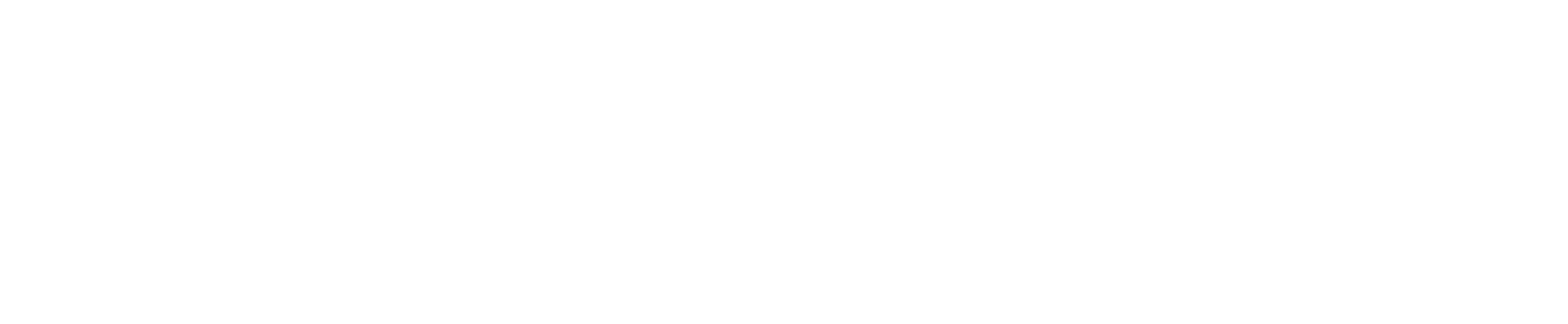 Bluefield University typeface logo in white.