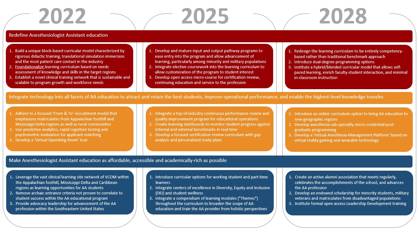 Visual representation of the MHSA Strategic Plan. A download link is available below the image.