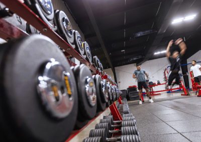 Exercise & Sport Science (BA/BS)