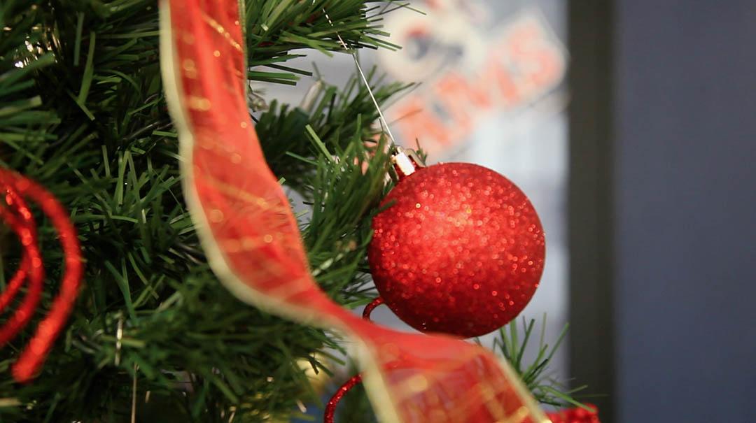 An ornament on a Christmas tree