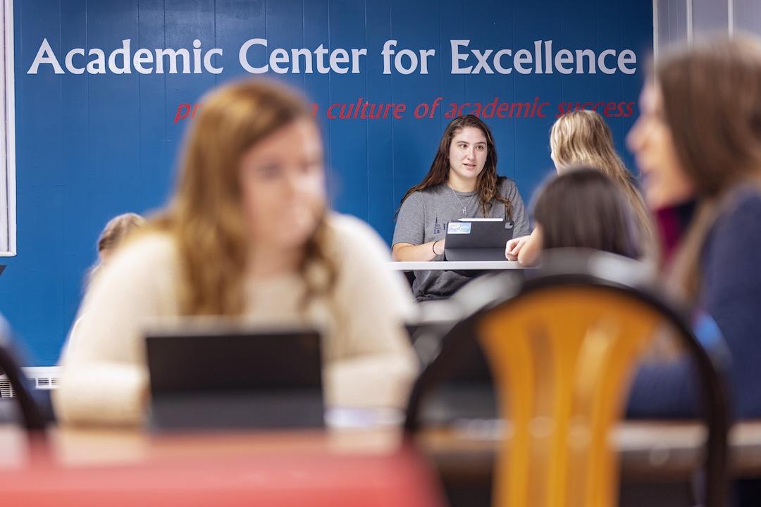 Students in the Academic Center for Excellence.