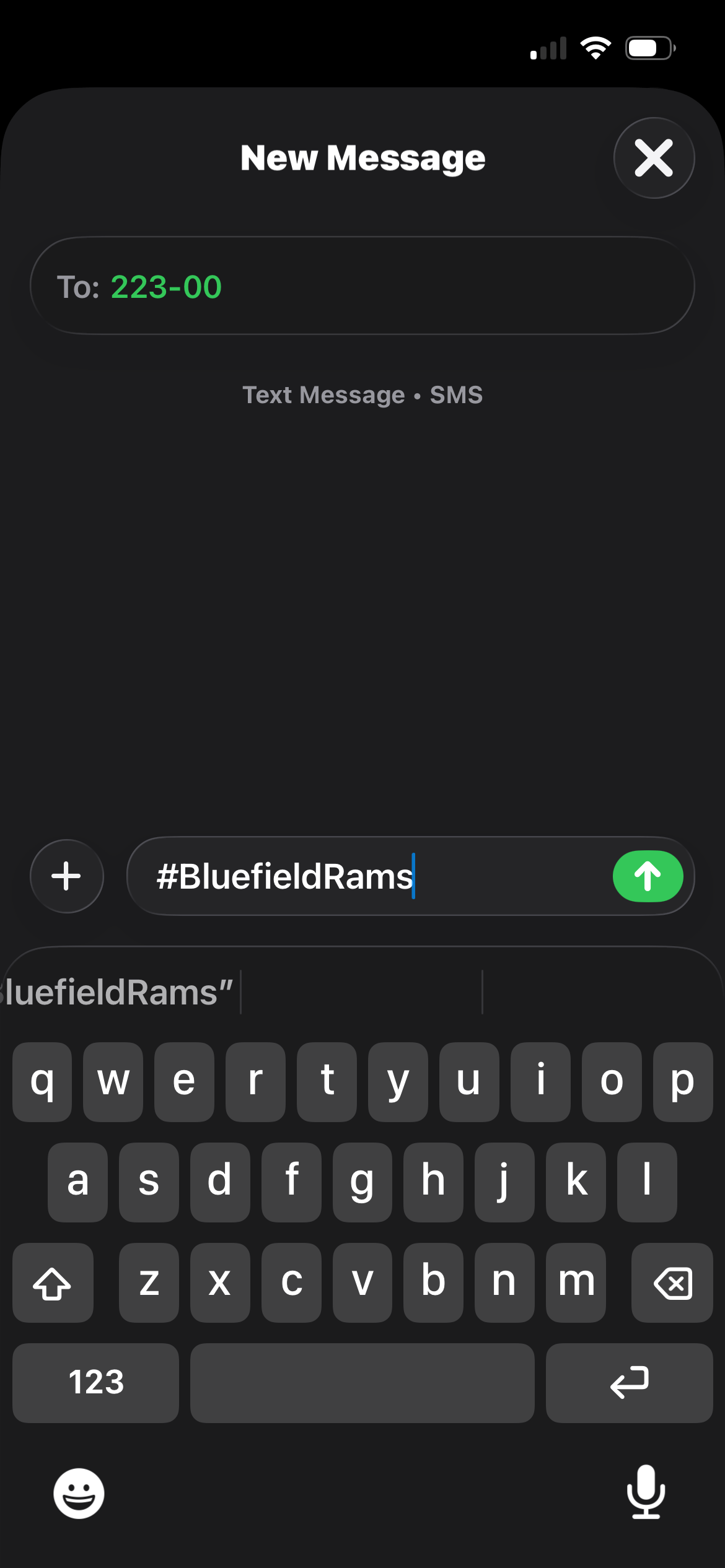 A screenshot of a SMS text chain.