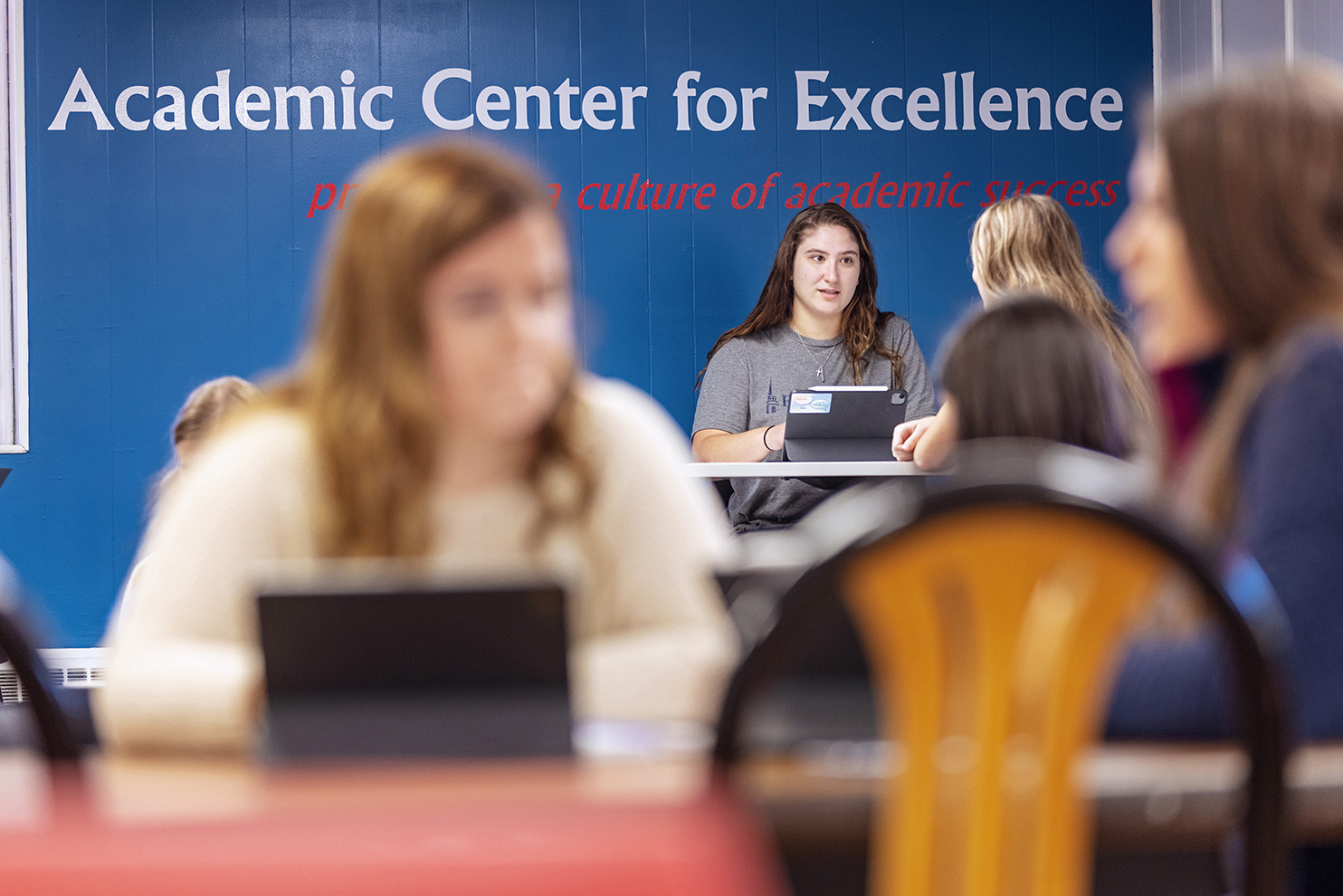 Academic-Center-for-Excellence-2 Students with iPads in front of an Academic Center for Excellence sign